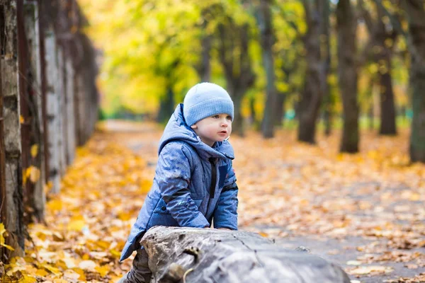 Niño pequeño de 1 año camina sobre hojas caídas en el día de otoño —  Fotos de Stock