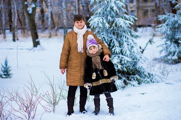 Счастливая Бабушка Маленькая Внучка Гуляют Зимнем Парке — стоковое фото