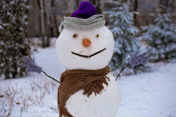 겨울에 눈사람 — 스톡 사진