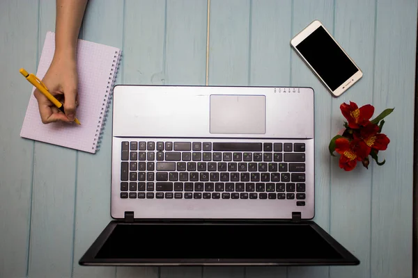 Giovane Donna Affari Che Lavora Sul Computer Portatile Mentre Seduto — Foto Stock