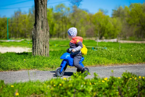 Little boy riding toy motorbike in green sunny park. Active childhood