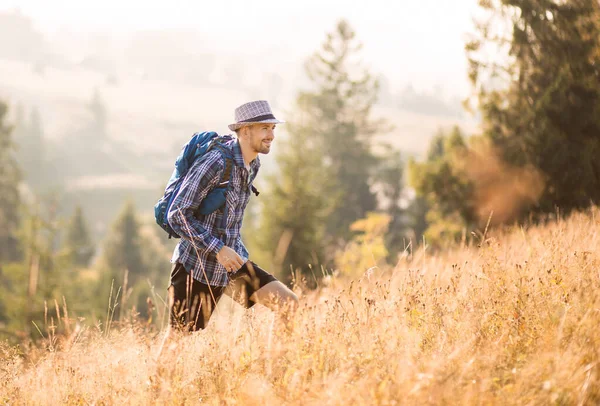 Bearded tourist man in hat with backpack hiking in mountains forest. Caucasian male hiker outdoors