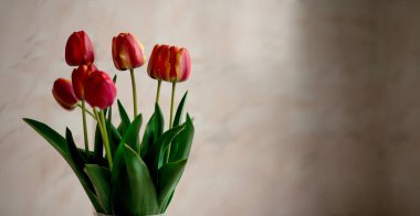 Masasında güzel lale çiçekleri olan vazo.