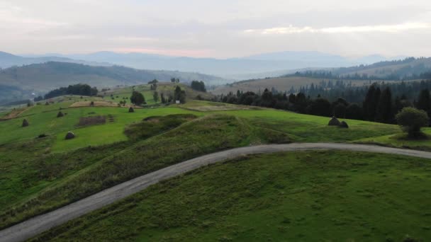 Aerial Drone View Flight Pine Tree Forest Country Road Sunset — Stock Video