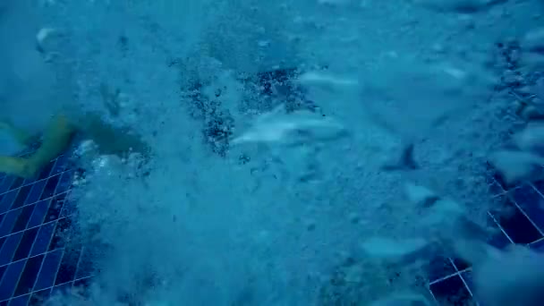 アクアパークプールで水中で潜水する男のスローモーションビデオは ダイビング中に空気を放出します 海底から水面に浮かぶ気泡 — ストック動画