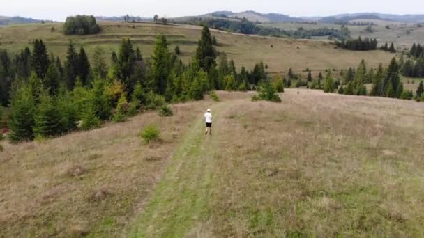 Luchtfoto drone uitzicht op de mens rennen in bergen bos met groenblijvende pijnbomen op het platteland in de zomer — Stockvideo