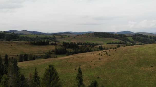 4K aerea di drone volare sopra bella foresta verde nel paesaggio di abete rosso con catena montuosa in background . — Video Stock