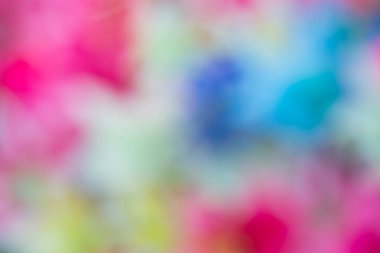 Güzel bulanık çiçekler.