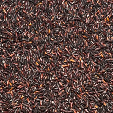 Pirinç pişirmeye hazır.