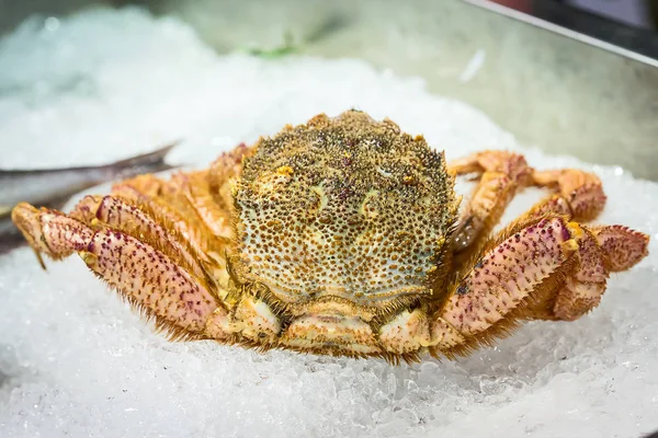 japanese hairy crab.