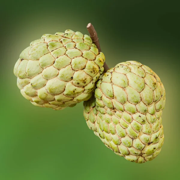 Custard apple v trhu s čerstvým ovocem. — Stock fotografie