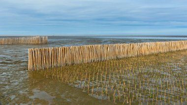 Bambu bariyer ve kaya Barajı.