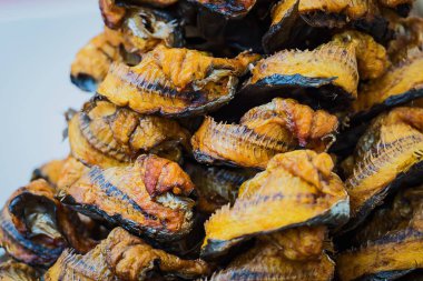 Kurutulmuş balık kapatın.