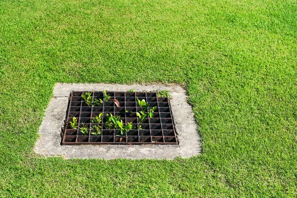 Ruszt kanalizacji na trawniku. — Zdjęcie stockowe