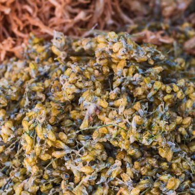 Fried Flora kadar kapatın.