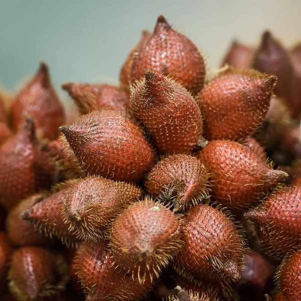 Fruta de Salak, zalacca de Salacca. — Fotografia de Stock