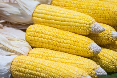 Taze tatlı mısır, Tayland.