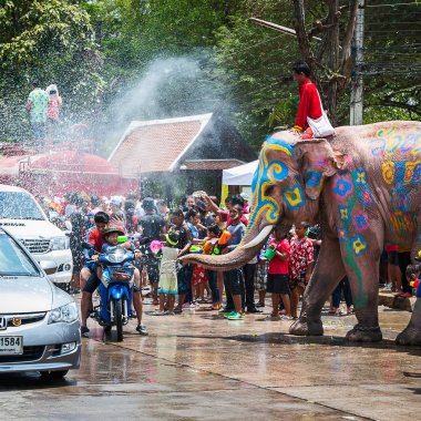 Fil su sıçramasına Songkran Festivali sırasında 13 Nisan 2013 Ayutthaya, Tayland.