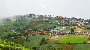 Phu küvet Berk.