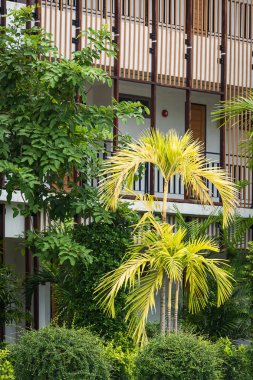 Bina yeşil bitkiler arasında.