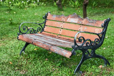 Çimenlikteki eski bank.