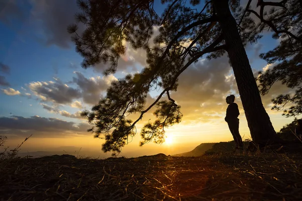 The silhouette of a female traveler is excited by the sunset view at Phu Kradueng, Loei Province, Thailand.