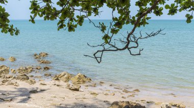 Dinlenmek için güzel taşlar ve dallarla doğal manzara.