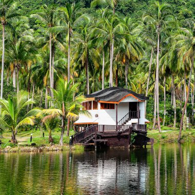 Göl manzaralı yazlık ev Tayland 'da bir hindistan cevizi çiftliğine karşı..