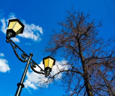Yapraksız ağaç dalları, beyaz bulutlu mavi gökyüzünün önündeki sokak lambası..