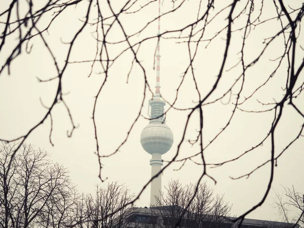 Berlin Allemagne Janvier 2016 Tour Télévision Avec Silhouette Arbres Ciel — Photo