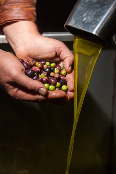 Hands with olives and oil pouring — Stock Photo, Image