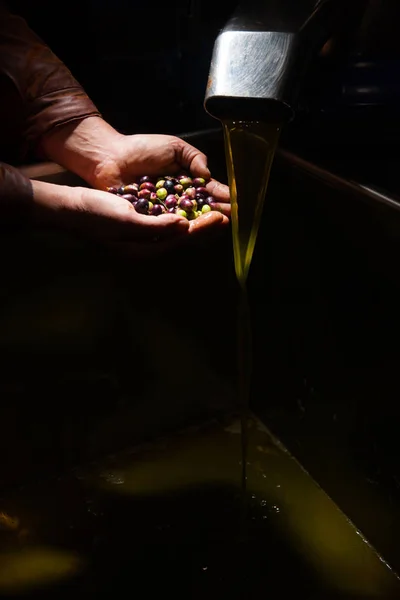 Hands with olives and oil pouring — Stock Photo, Image