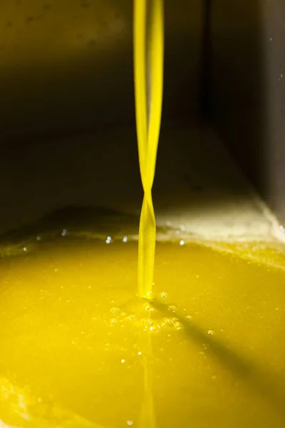 Olio extravergine di oliva versato — Foto Stock