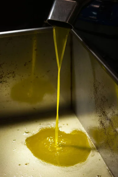 Extra virgin olive oil pouring — Stock Photo, Image