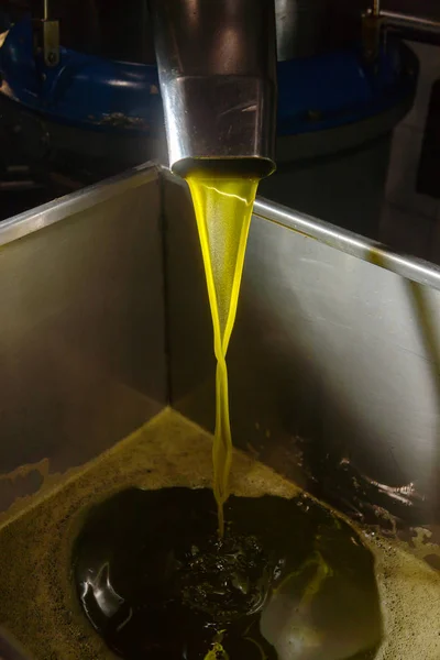 Natives Olivenöl extra eingießen — Stockfoto