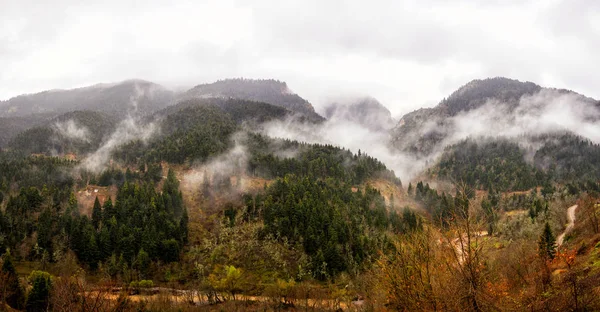 Berg mit Bäumen im Nebel lizenzfreie Stockfotos