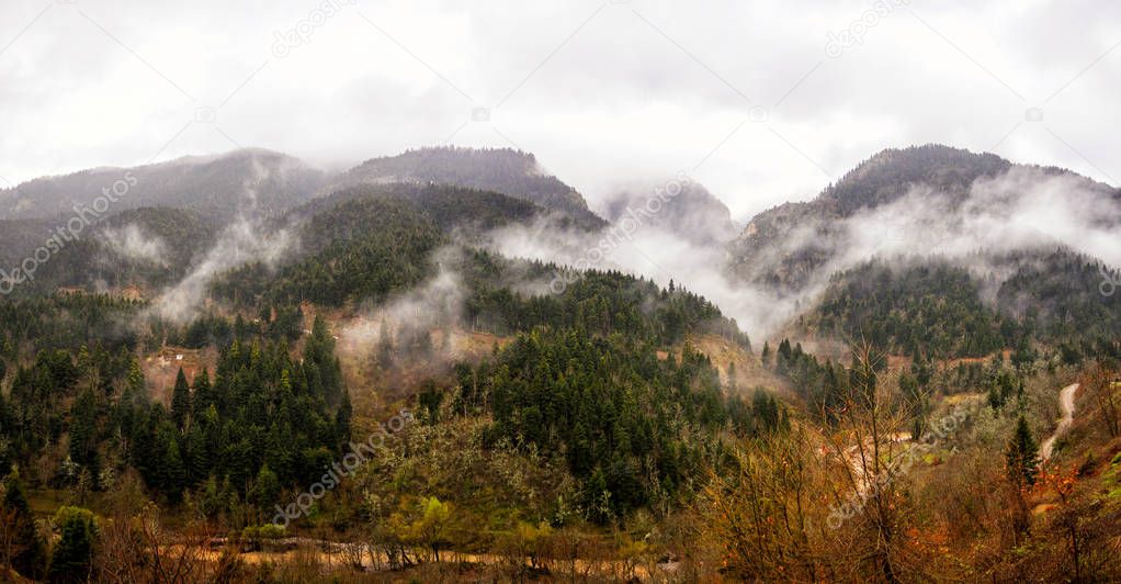 Mountain with trees in the mist
