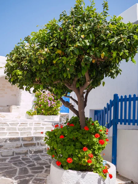 Traditionelle Straße auf einer griechischen Insel — Stockfoto