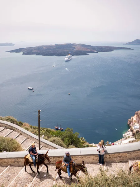 Oslů ve městě ostrov Santorini — Stock fotografie