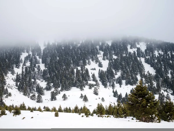 Montagne avec neige et nuages — Photo