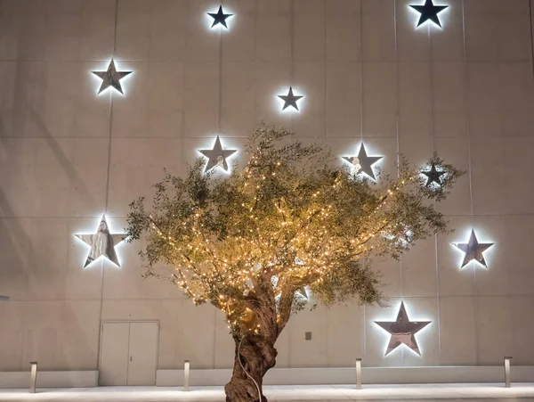 Vakfı Stavros Niarchos Atina, Yunanistan