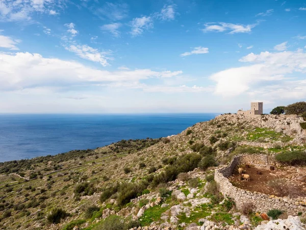 Paisaje Región Mani Laconia Peloponeso Grecia — Foto de Stock