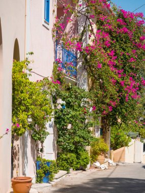 Dış Assos Köyü Kefalonia, Ionian Islands, Yunanistan için geleneksel bir Yunan evde çiçek ile