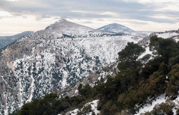 Panoramablick Auf Die Parnitha Berglandschaft Mit Schnee Und Bewölktem Himmel — Stockfoto