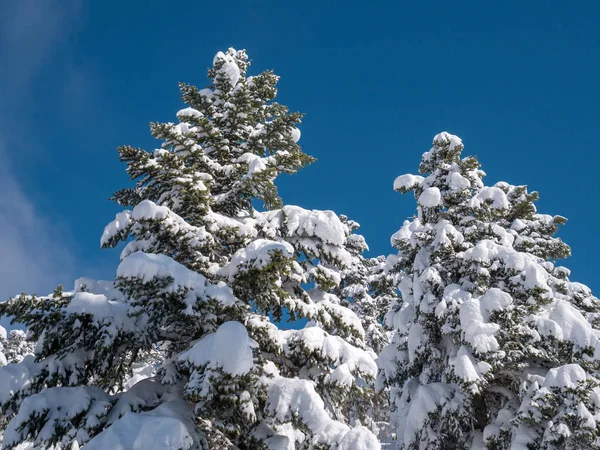 Paysage de montagne avec neige — Photo