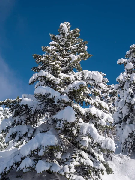 Paysage de montagne avec neige — Photo