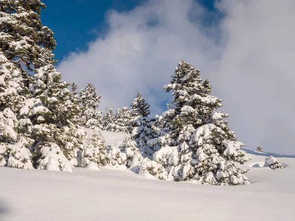 Paysage de montagne avec neige — Photo