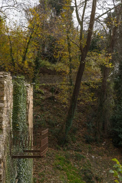 Forest Trees Autumn Pilio Greece — Stock Photo, Image