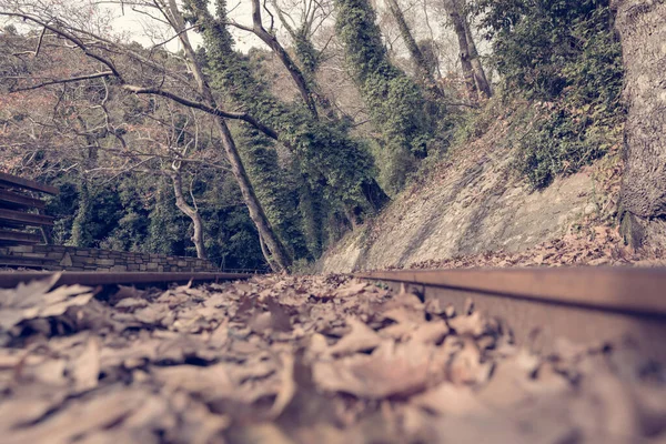 Bela Estação Ferroviária Velha Aldeia Milies Pilio Grécia — Fotografia de Stock