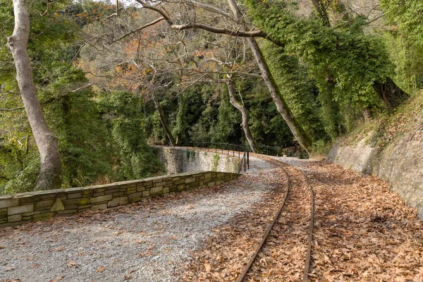 Bela Estação Ferroviária Velha Aldeia Milies Pilio Grécia — Fotografia de Stock